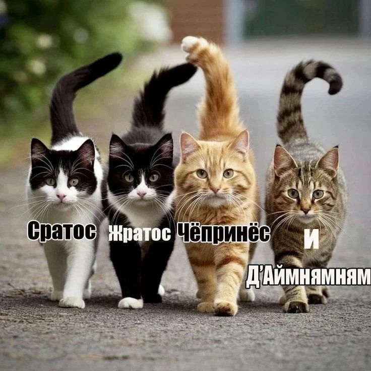 happypetsallworld
