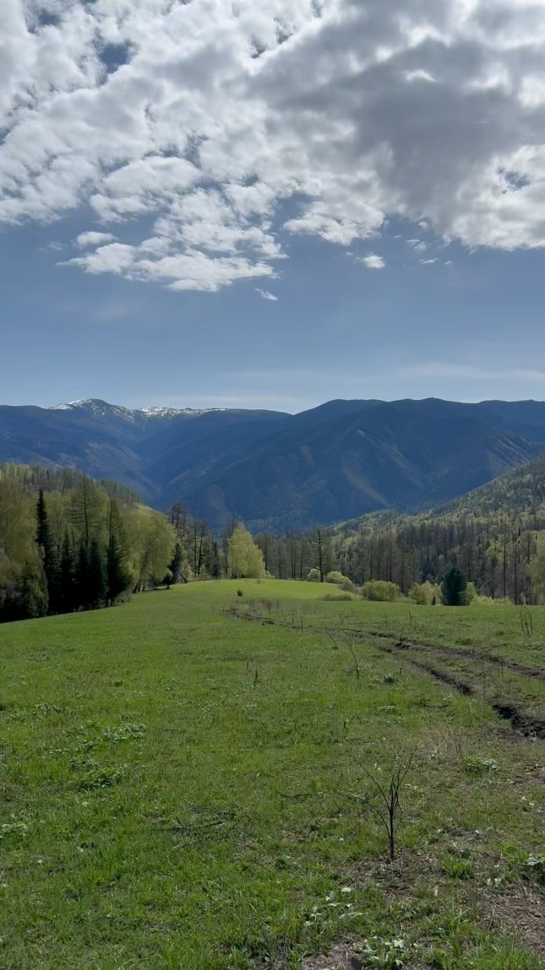 temabarin в LOOKY. #кузуяк#kuzuyak#altay#republicaltai#республикаалтай#russia#поход#hike#hiking#nature#природа#весна,#spring#camping#altay#алтай#белуха#belukha#beluha#аккемскаятропа#наноге. Не буду расписывать ...