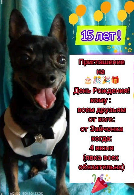 zhannaepishina в LOOKY. #Зайчонку15лет,#заяблогер,#зайчоноклюбимый,#мойсыночек. Доброго времени суто...