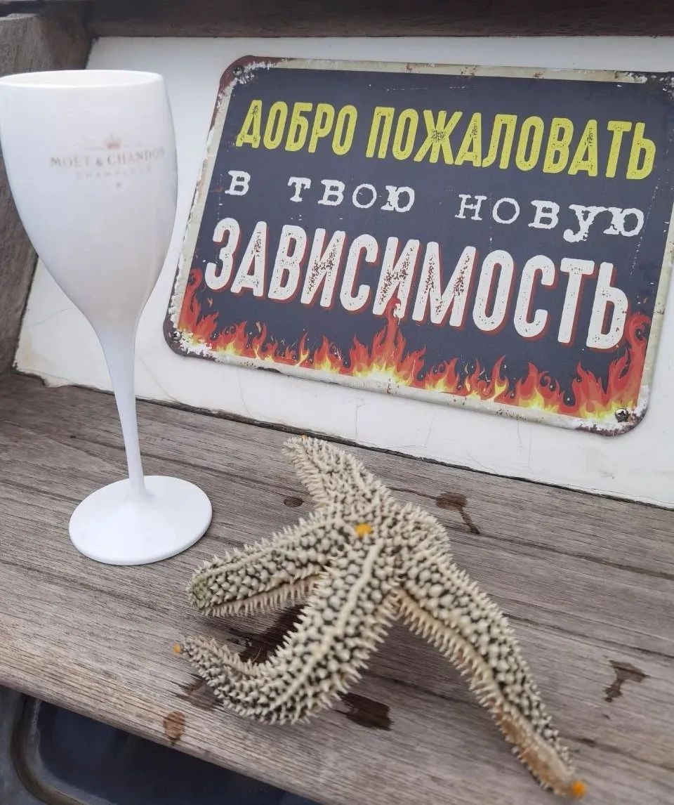 Без комментариев... Просто приезжайте😌