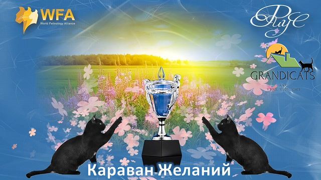 geniality_filipuliya в LOOKY. . 🐈‍⬛🐈🏆Дорогие наши...