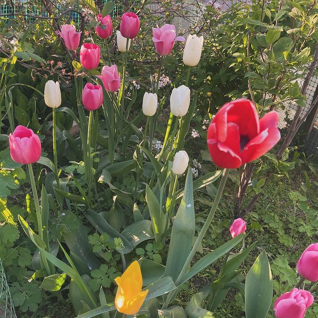 osipova_psy в LOOKY. . Мое арт-терапевтичес...