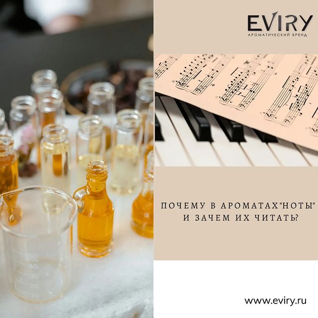 eviry_ru в LOOKY. #аромадиффузор,#аромасвечи,#eviry,#аромат,#нотыаромата,#свеча,#ароматыдлядома,#корпоративныеподарки. ПОЧЕМУ В АРОМАТАХ «Н...