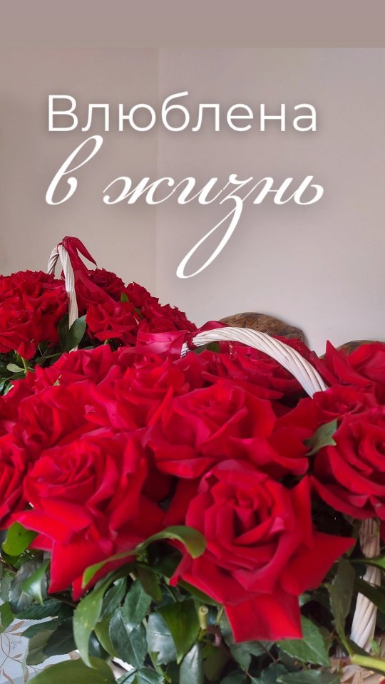 dzhami.777 в LOOKY. . null