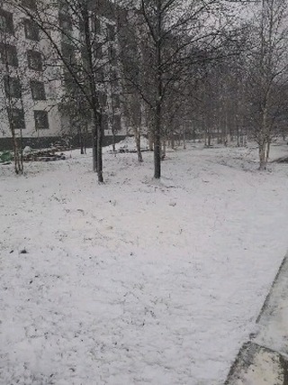 sever_v_nas в LOOKY. . 28 мая