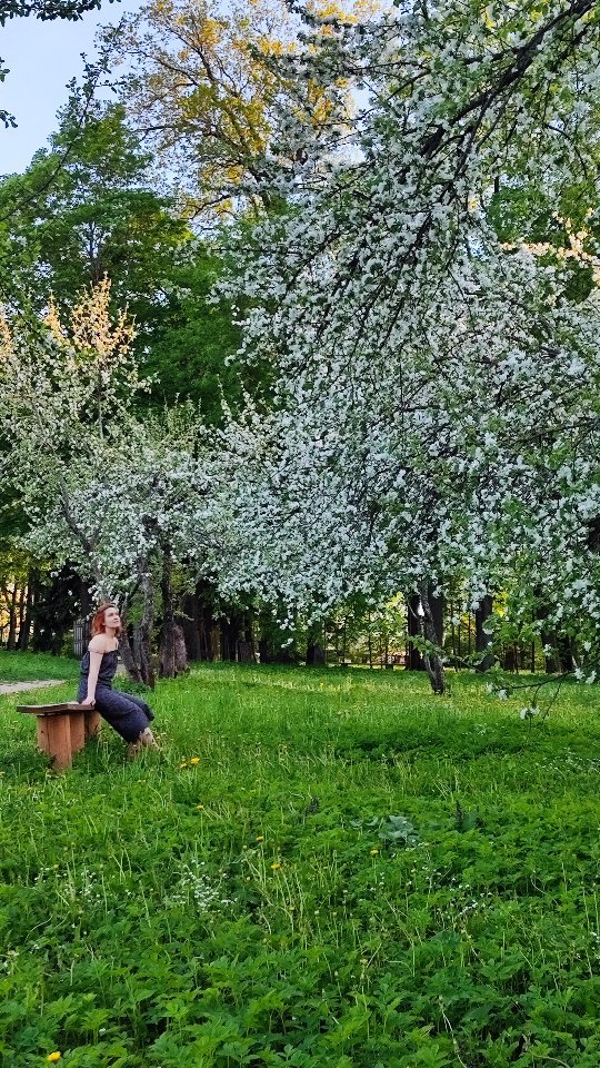 ushakova.pro in LOOKY