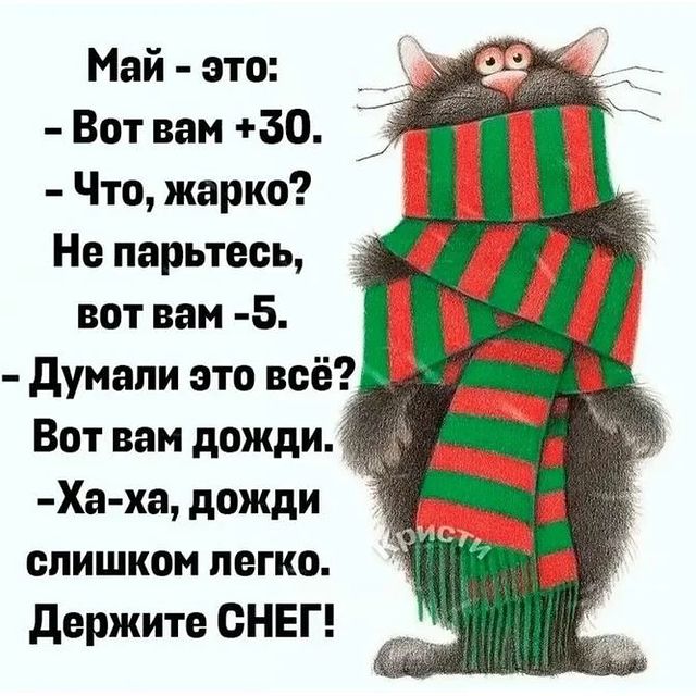 happypetsallworld в LOOKY. . null