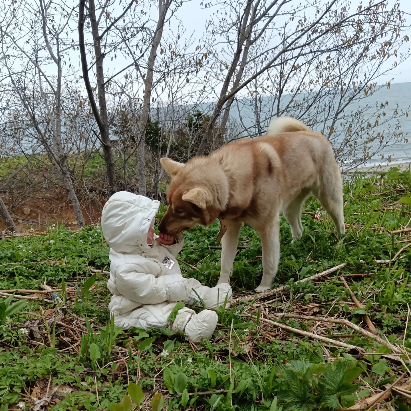 family_adventurers3 в LOOKY. . Умка как вторая мамк...