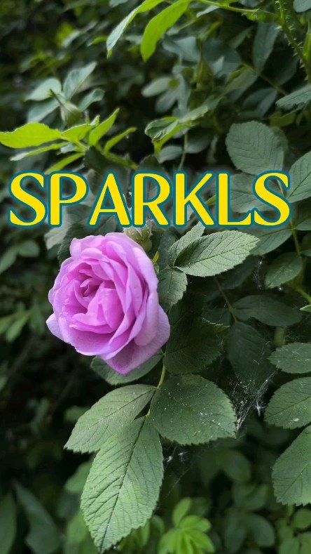 angelinaa_a19 в LOOKY. #поэзия,#лайк_страна_продвижения,#reels,#стихи,#sparkls. Итак , мой первый вы...