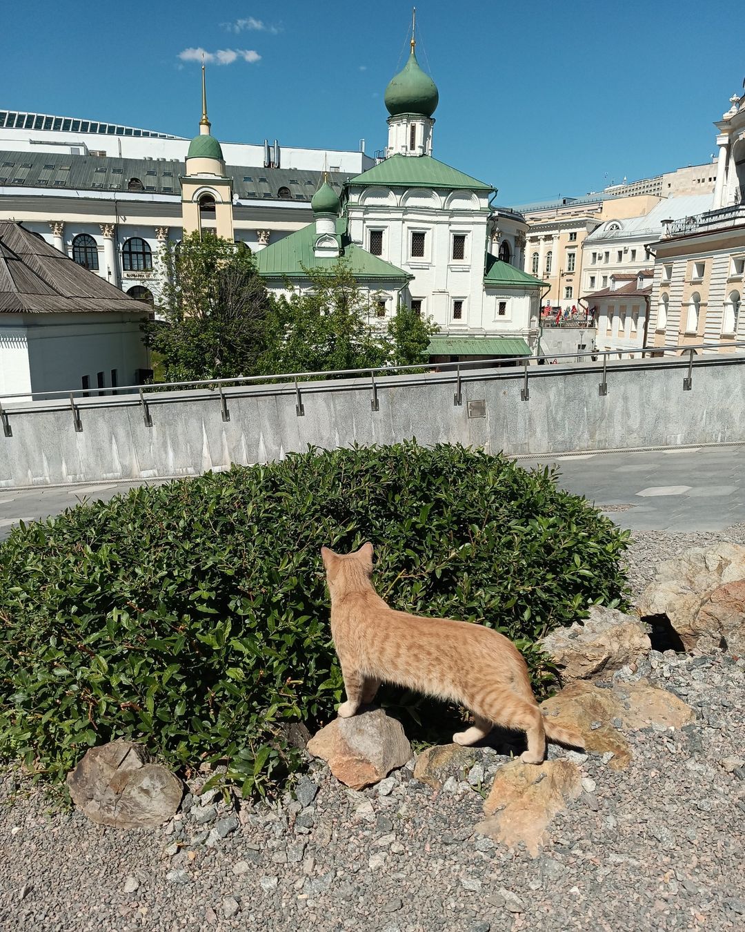 Весенняя Москва — как акварель:
Раскрасила дома и парки.
И хочется гулять, мечтать,
Вдыхая свежий воздух яркий.

#москва #весна #солнце #фотографирую #фото #photography #spring #photoshoot #photographer