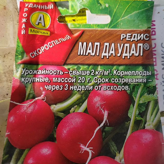 natussik в LOOKY. . Редиска, мне понрави...