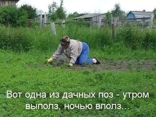 natussik в LOOKY. . В последнее время во...
