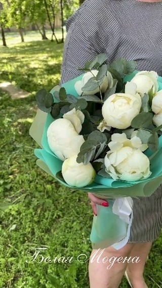 moscvettorg.com_moscow в LOOKY. . null