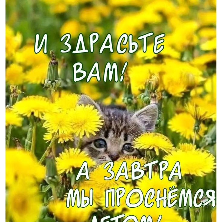 tatiana_z_toys в LOOKY — Безопасны ли игрушки ручной работы для малышей? 

Вязанные и