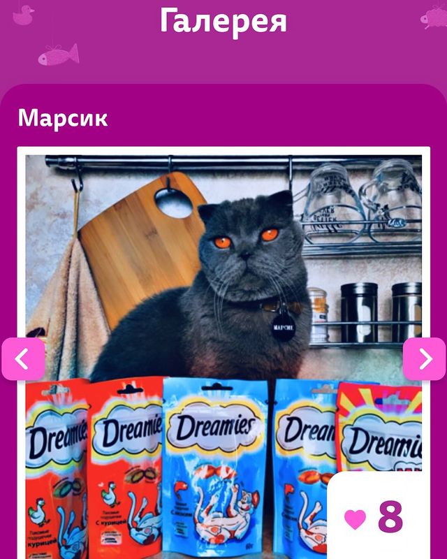 maxon_1st в LOOKY. #singer,#музыкант,#drummer,#барабанщик,#instagood,#selfie,#селфи,#musician,#фото,#photo,#cat,#кот,#кошка,#символ,#символгода,#britishshorthair,#scottishfold,#spring,#весна,#may,#май,#2024,#whiskas,#вискас,#likes,#лайки,#екб,#ekb,#derames. +1 ❤️

#twigger_ramz...