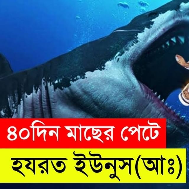 junaidbinrafik в LOOKY. . https://youtu.be/-RY...