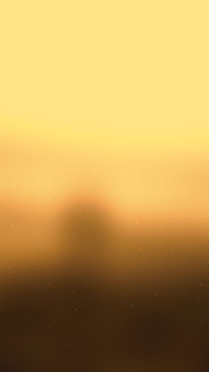 shiba_off__2024 в LOOKY. #shiba. #shiba outlook