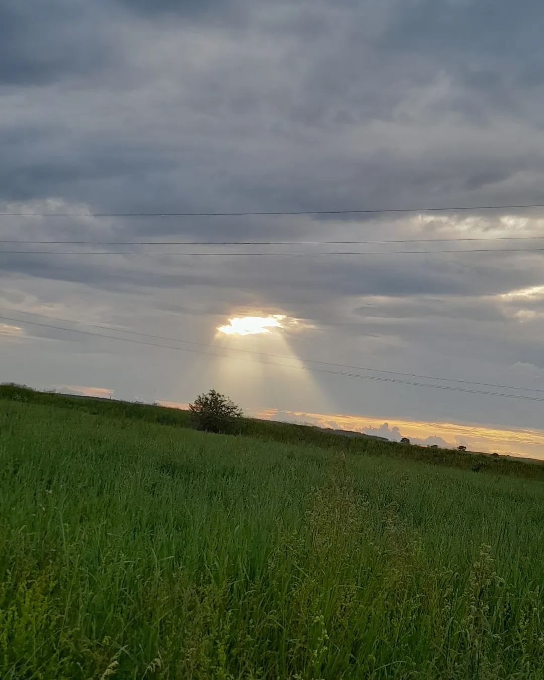 kuprinovi в LOOKY — Happy first day of summer!