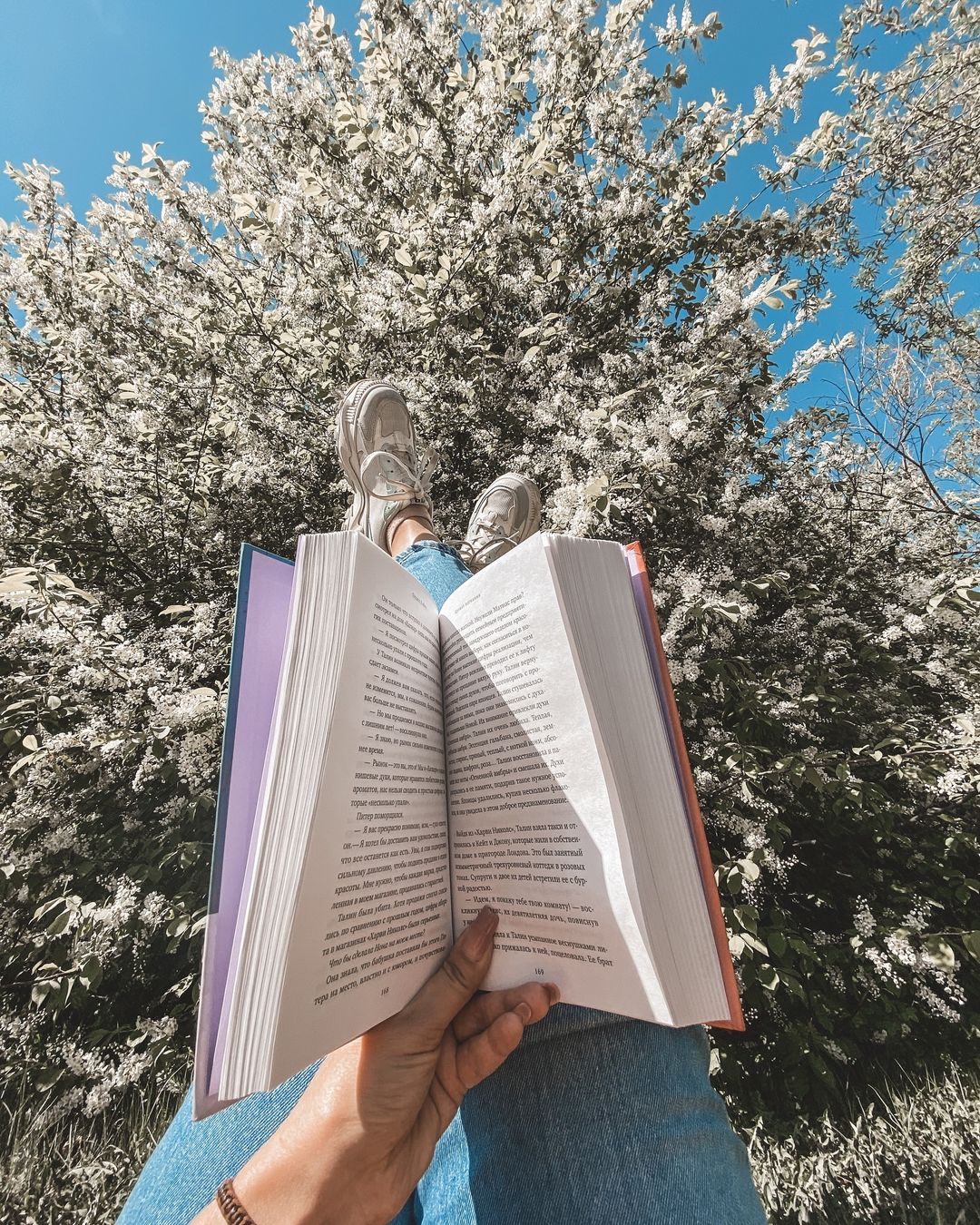 kuzibooks в LOOKY — Снова книжный тэг #еслибытвоёимябылокнигами

Суть простая: в