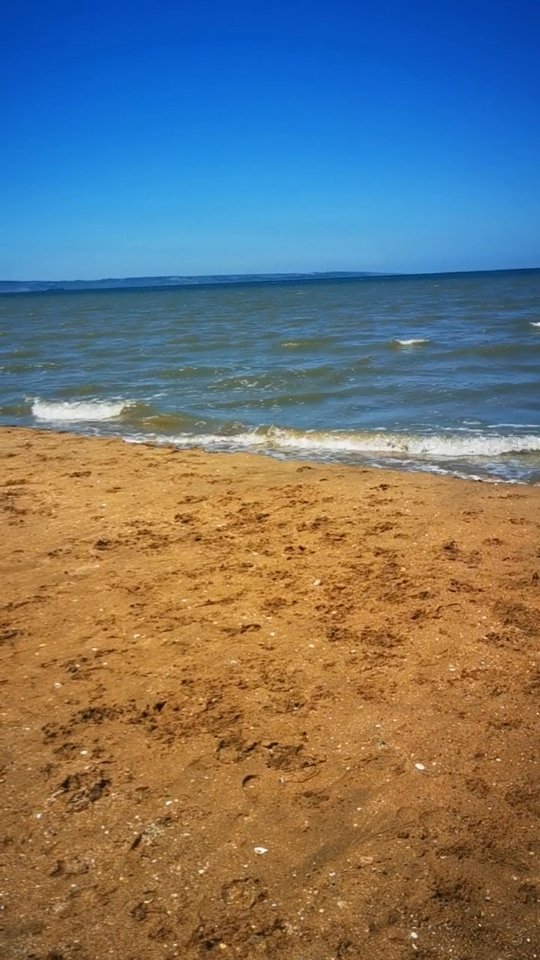 otdyhnamoreilich in LOOKY. #морезовет. #морезовет