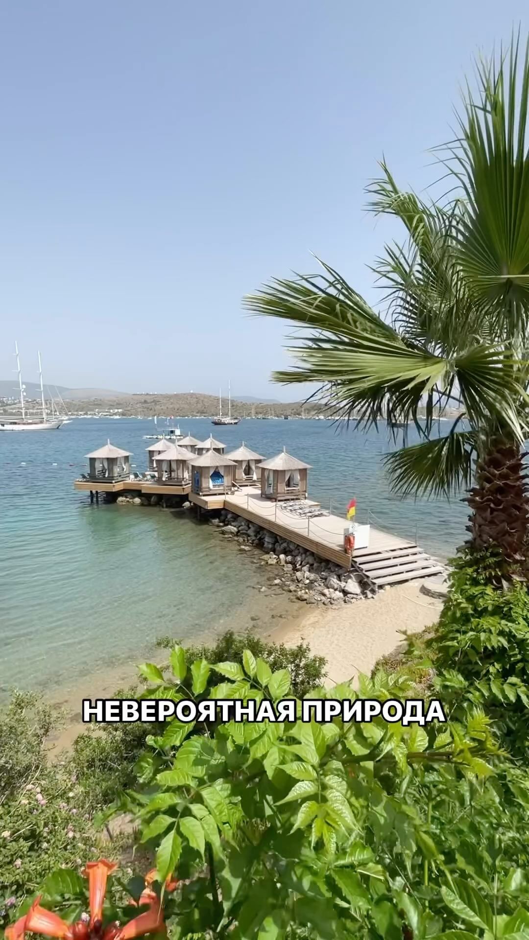 funtravel.online в LOOKY. #бодрум. Нереально красивый о...