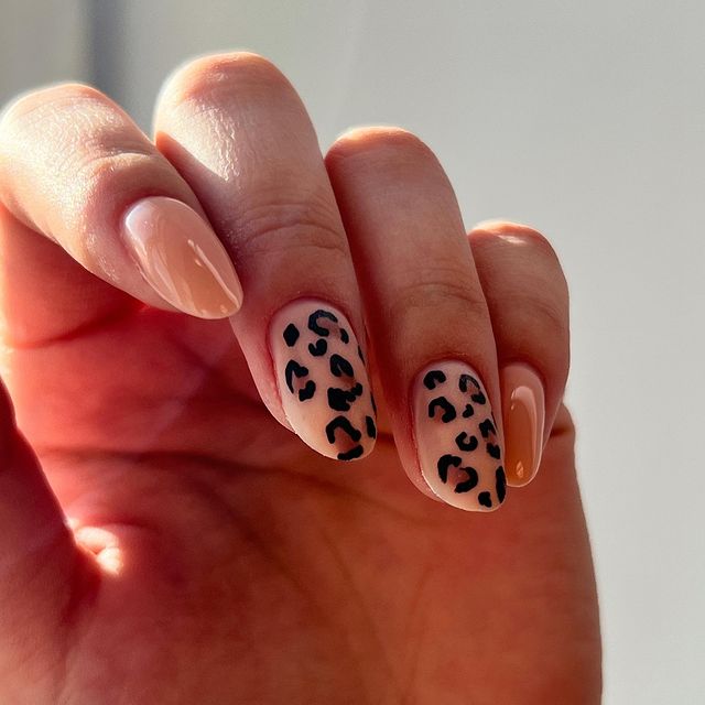 darima_dym в LOOKY. #маникюр#маникюруланудэ#nail#ногти#коррекция#дизайн#дизайнногтей#ногтидня#ногтидизайн#аппаратныйманикюр#идеиманикюра#nails#naildesigns#ногтифото#ногтигельлак. 🐆🐆🐆

#маникюр#ман...