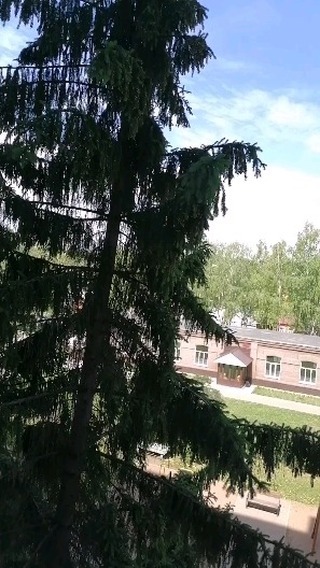 iuliia_koz_lova в LOOKY. . С утра был дождь и п...