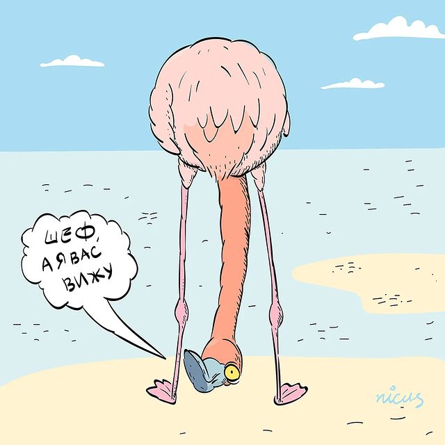 nicus.ru в LOOKY. #illustration,#illustrations,#illustrator,#иллюстрации,#иллюстрация,#иллюстратор,#drawing,#drawings,#draw,#digitalart,#cartoon,#graphic,#graphics,#графика,#graphicdesign,#фламинго,#flamingo,#fenicottero,#nicus,#nicus_ru. #illustration #illus...
