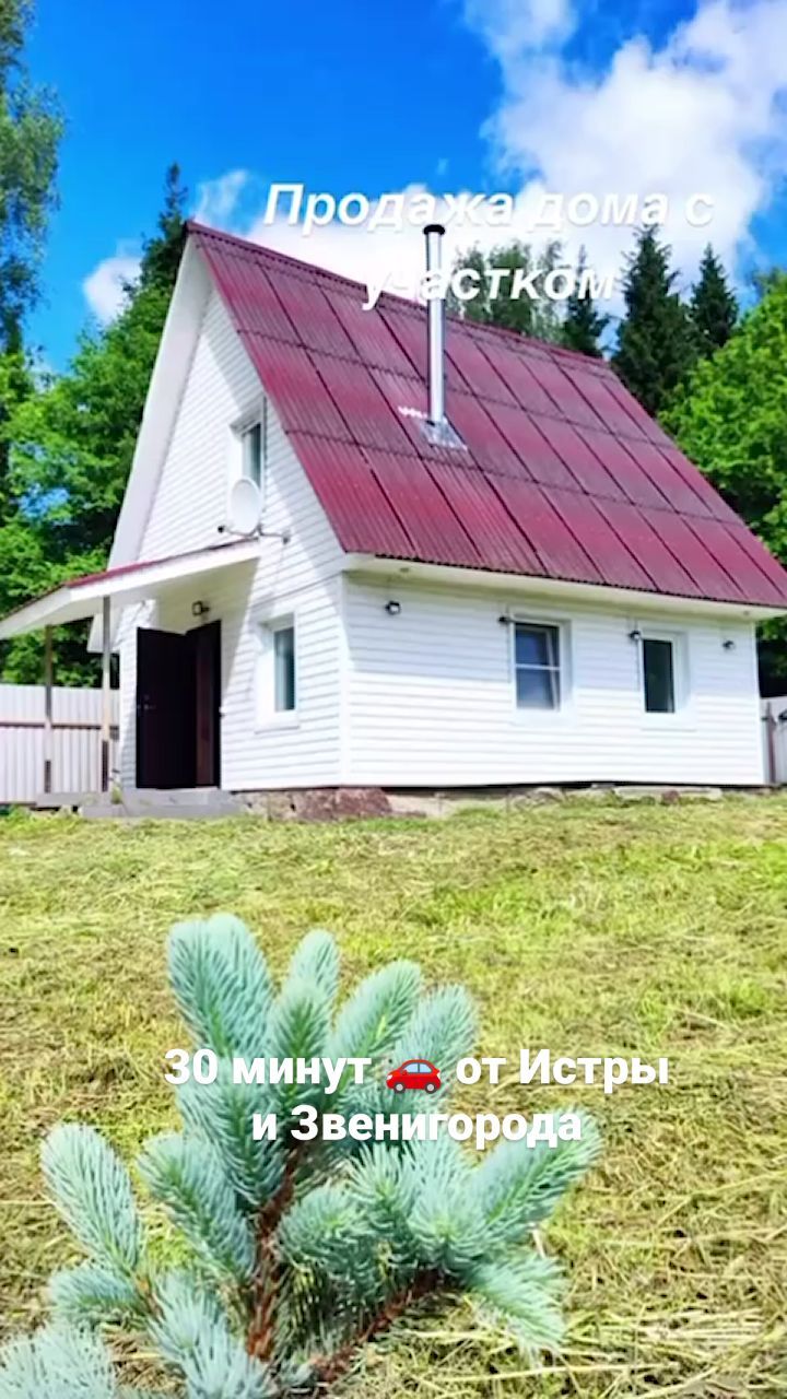 lopuhova_as в LOOKY. . Одинцовский г.о. дер...