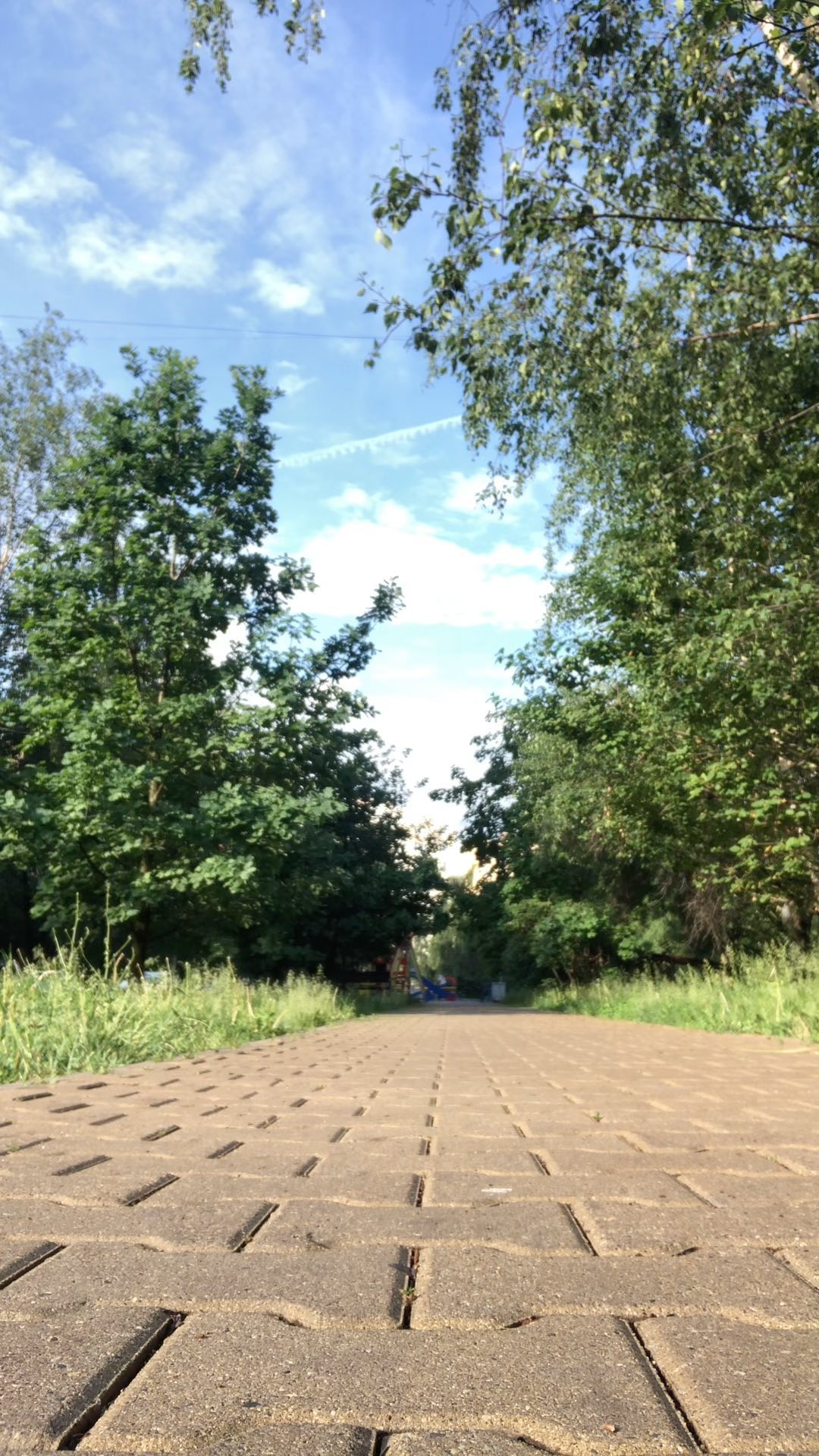 valentinavinogradova1 в LOOKY. #движениеэтожизнь,#энергия,#спорт. Я решилась на это 🤩...