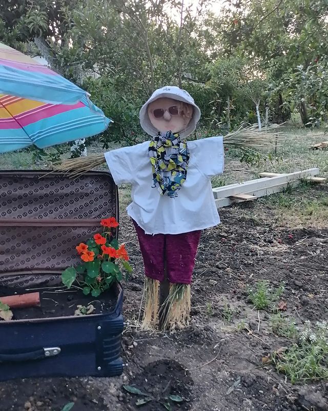 igaldik в LOOKY. #крым2024,#багероволенинскийрайон. Новая соседка 😁 #кр...