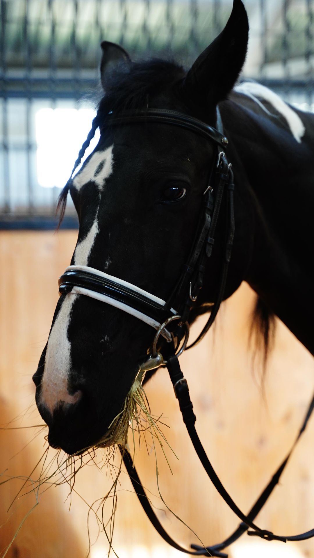 Golovleva2693 в LOOKY. . A horse is a special...