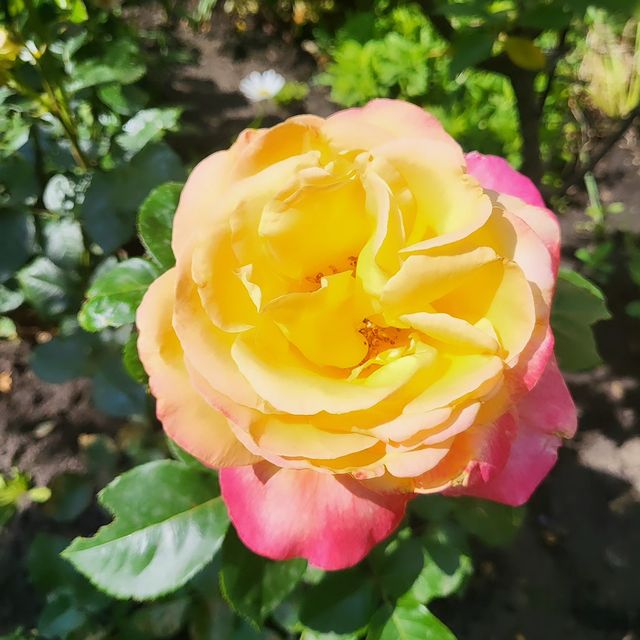Tash1881 в LOOKY. #like,#liker,#likes,#l4l,#like4like,#likes4likes,#likeforlike,#liketeam,#instamood,#followme,#tagforlikes,#InstaTags4Likes,#instagood,#picoftheday,#photooftheday,#instadaily,#instalike,#instagram,#instagramers,#likesforlikes,#instaday,#instalovers,#instalikers,#instacool,#instapic,#intstaphoto,#insta,#instastyle,#instalove. #like #liker #likes ...