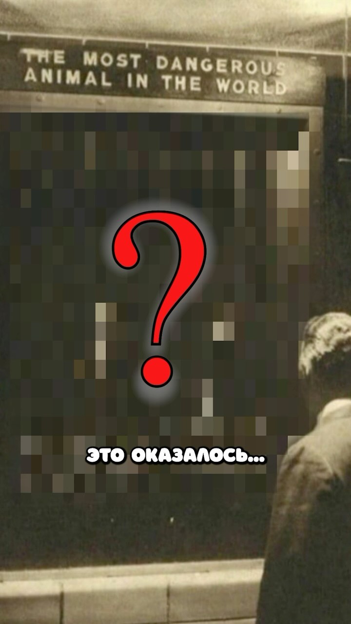 grb4w в LOOKY. . Это животное самое о...