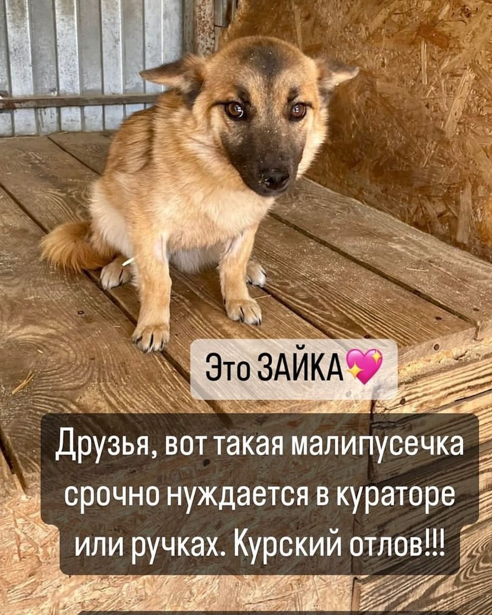 martyns_family в LOOKY. . Вот такой малышке ср...