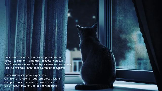 yan.yagmur в LOOKY. . *
Последний падал сн...