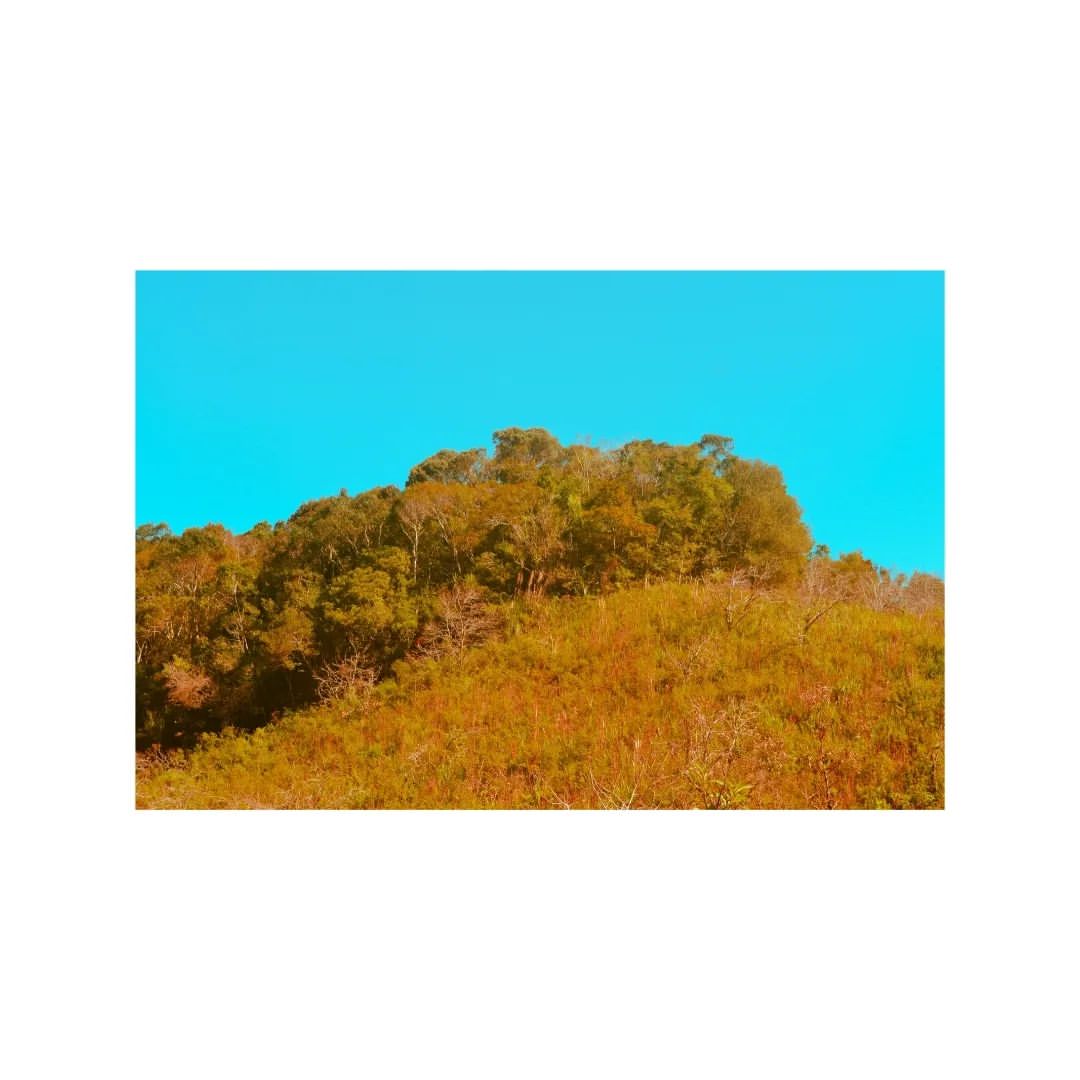 FOTOS NO SITIO COM O PRESET DO MAD MAX
.
.
.
.
.
#sitio #fotos #fotografia #madmax #cinema #Hollywood #photography #photo