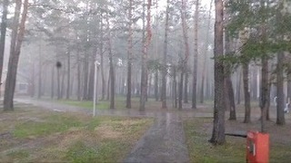 taneckagaidukowa в LOOKY. . null