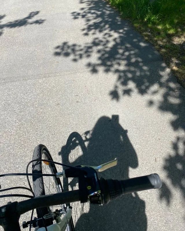 Elena в LOOKY. . ☀️🚲 Лосиный остров�...