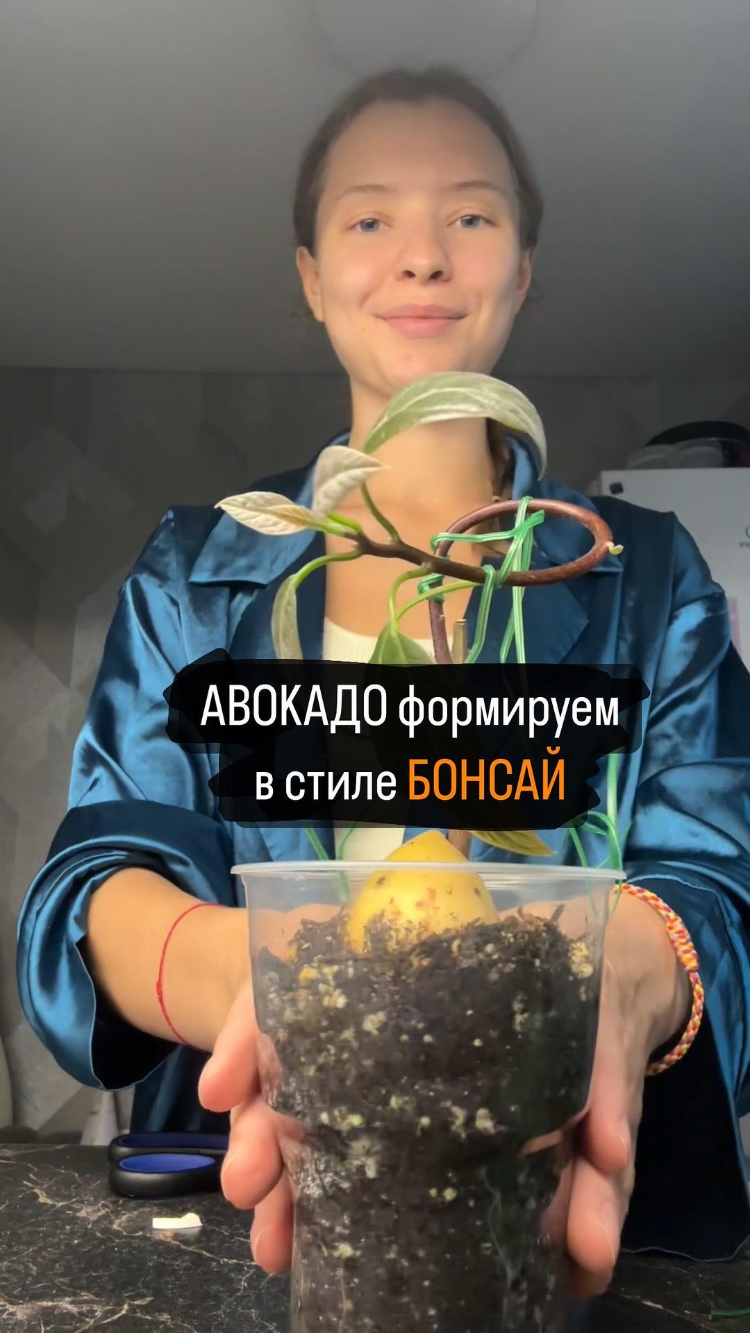 gelya_brain в LOOKY. . Давайте выращивать в...