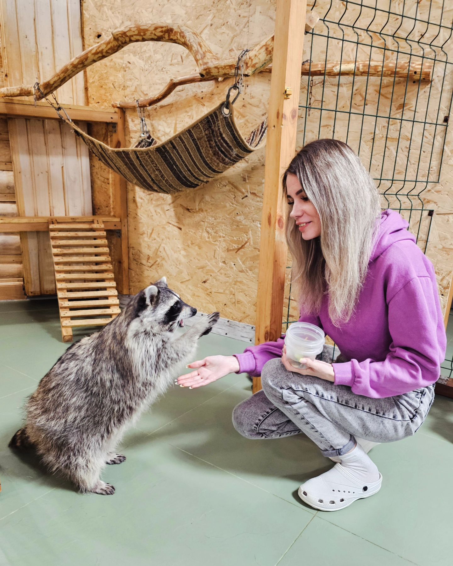elena_lena_lenochek_ в LOOKY. . 🦝 @enot_68 💕 очаро...