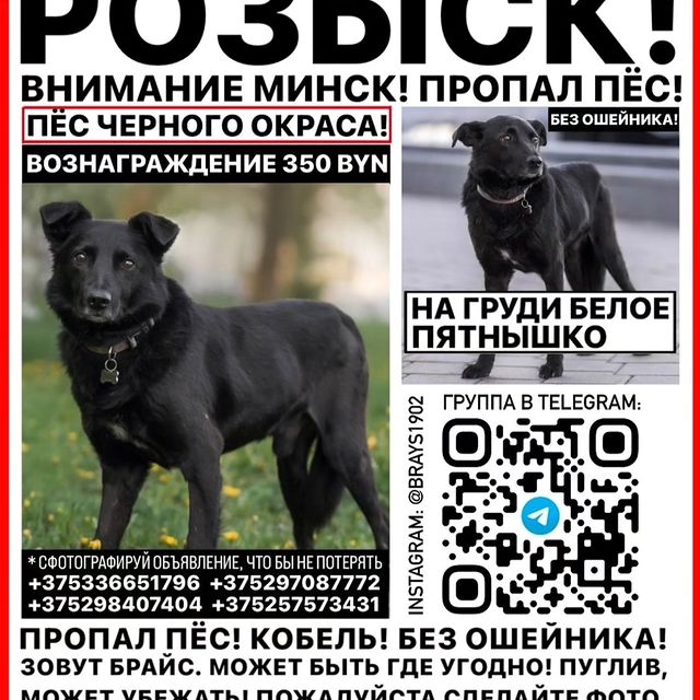 nadejdakrista в LOOKY. . Друзья помогите пожа...