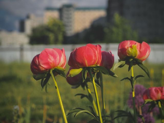 natalia_photo_archive в LOOKY. . Весь секрет существо...