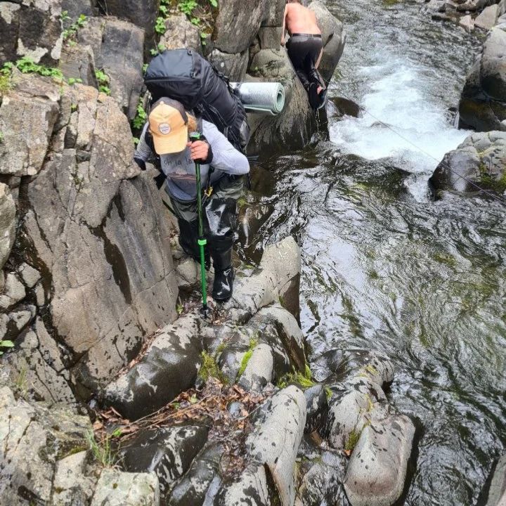 family_adventurers3 в LOOKY. . null