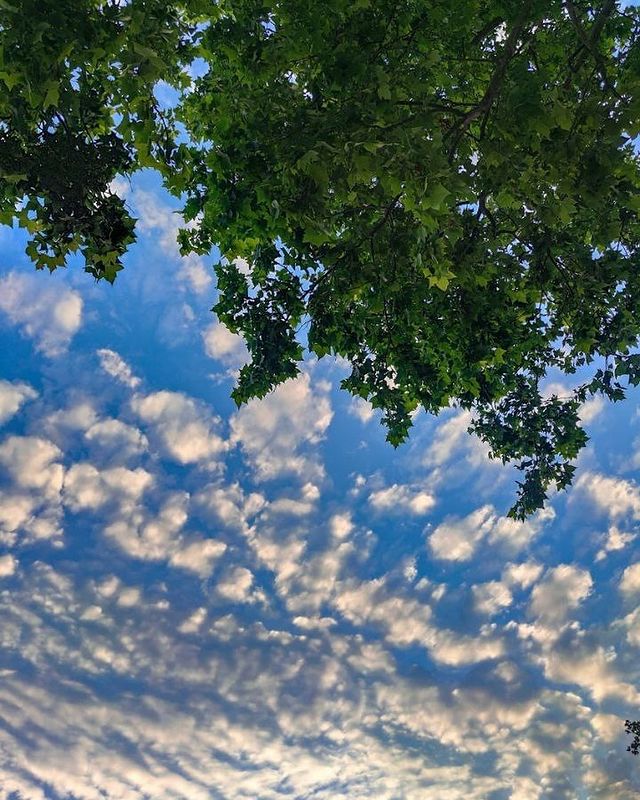 mariyailyushenko в LOOKY. . null