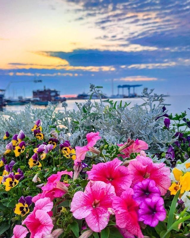 mariyailyushenko в LOOKY. . null