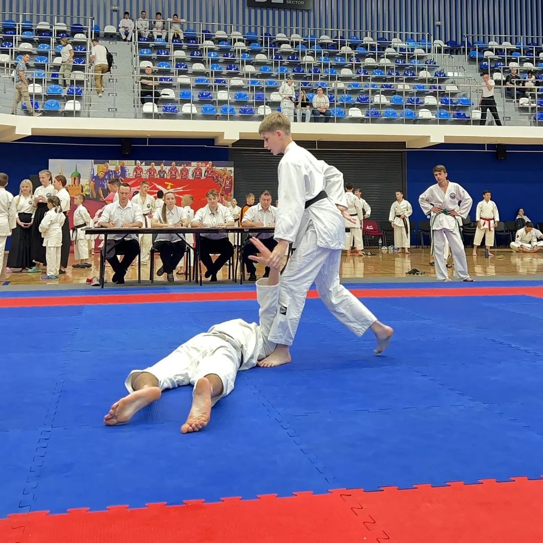 mo_sport_aikido в LOOKY — фото 2