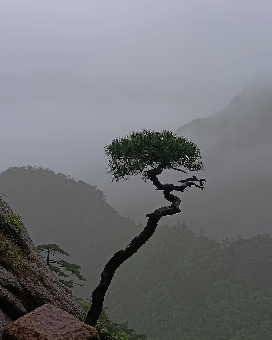 ercophotograph в LOOKY — Avatar Film Rejisörünün ilham aldığı Huganshan dağında bir g