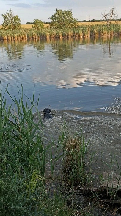 nastenka110788 в LOOKY. . Реюшка)))))
Реюшка))...