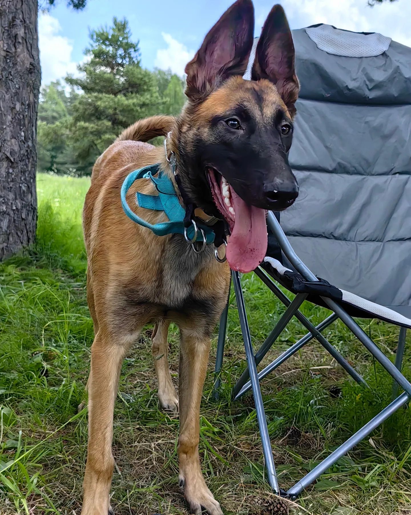 bikej_dogs94 в LOOKY. . Щучка
